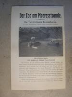 Die Tiergrotten in Bremerhaven   (Der Zoo am Meerestrande)