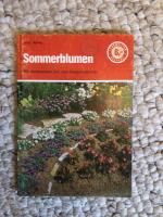 Sommerblumen