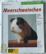 Meerschweinchen richtig pflegen und verstehen