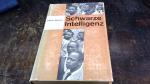 Schwarze Intelligenz. Ein literarisch-politischer Streifzug durch Süd-Afrika.