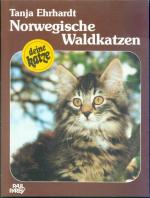 Norwegische Waldkatzen