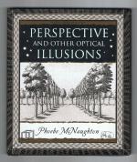 Perspective and other Illusions