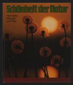 Kurt Blüchel: Penny Bildband 7/Schönheit