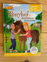 Ponyhof-deschichten Ein Fest für Billy