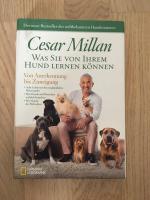 Was Sie von Ihrem Hund lernen können - Von Anerkennung bis Zuneigung