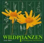 Wildpflanzen in Fichtelgebirge und Steinwald