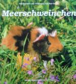 Meerschweinchen