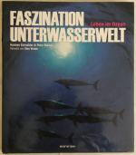 Faszination Unterwasserwelt