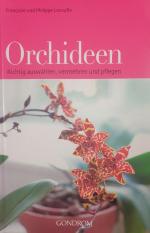 Orchideen : Richtig auswählen, vermehren und pflegen