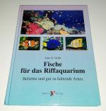 Fische für das Riffaquarium. Beliebte und gut zu haltende Arten