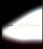 Eva Schlegel: Stills at the back of the 