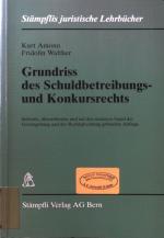 Grundriss des Schuldbetreibungs- und Konkursrechts. Stämpflis juristische Lehrbücher