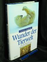 Wunder der Tierwelt - Neue Beobachtungen - überraschende Erkenntnisse -