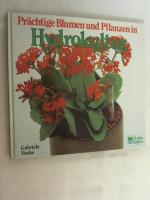 Prächtige Blumen und Pflanzen in Hydrokultur.