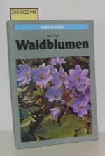 Paul,  Heinz: Waldblumen Gräser, Farne. 