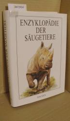 Gaisler, Jiri, Jaromir Knotek und Jürge Gaisler, Jiri, Jaromir Knotek und Jürge