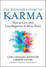 The Beginner's Guide to Karma