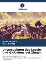 Untersuchung des Leptin- und GHR-Gens bei Ziegen