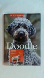 Andreas Werner: DOODLE: CHARAKTER, ERZIE