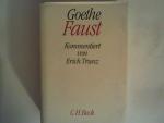 Goethe, Johann Wolfgang von: Faust: Der 