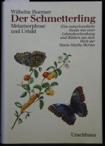 Wilhelm Hoerner: Der Schmetterling. Meta
