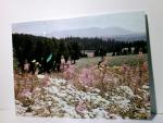 Bulgarien / Rodopi. Alte Ansichtskarte /