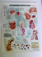 Alterserscheinungen: Poster/ Wandtafel