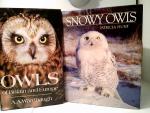 Konvolut: 3 Bände Snowy Owls / Owls.