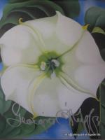 O`Keeffe, Georgia: Blumen