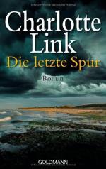 Die letzte Spur : Roman. Goldmann ; 46458