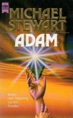 Michael Stewart: Adam. Roman einer Begeg