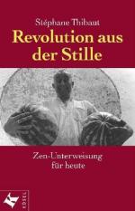 Stephane Thibaut: Revolution aus der Sti