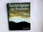 Mosheh Perlman: Auf den Spuren der Proph