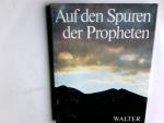Perlman, Mosheh (Verfasser): Auf den Spu Perlman, Mosheh (Verfasser): Auf den Spu