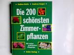 Heitz, Halina, Andrea Kögel und Ernö Zel Heitz, Halina, Andrea Kögel und Ernö Zel