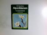 Wendelberger, Elfrune (Mitwirkender): Al Wendelberger, Elfrune (Mitwirkender): Al