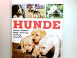 Hunde: Rassen - Verhalten - Pflege - Ern