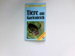 Tiere am Gartenteich