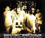Backstreet Boys: Show Me The Meaning Of 