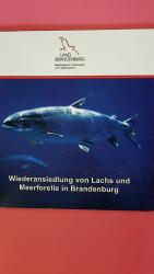 Zahn, Steffen; [Hrsg.]: Brandenburg: WIE
