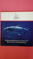 Zahn, Steffen; [Hrsg.]: Brandenburg: WIE