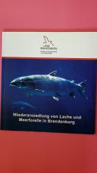 Zahn, Steffen; [Hrsg.]: Brandenburg: WIE
