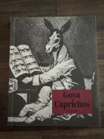 Diogenes Kunst Taschenbuch 3: Goya Cpric