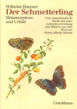 Wilhelm Hoerner: Der Schmetterling. Wilhelm Hoerner: Der Schmetterling.