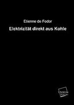 Elektrizität direkt aus Kohle