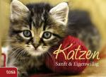 Katzen: Sanft & Eigenwillig