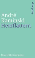 André Kaminski: Herzflattern: Neun wilde