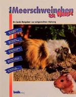 Gaby Prust: Meerschweinchen, zu Hause