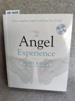 The Angel Experience: Your complete angel workshop in a book (Godsfield Experience, Band 5)