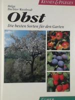 Obst